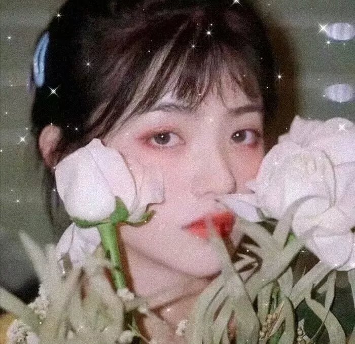 再见少女团